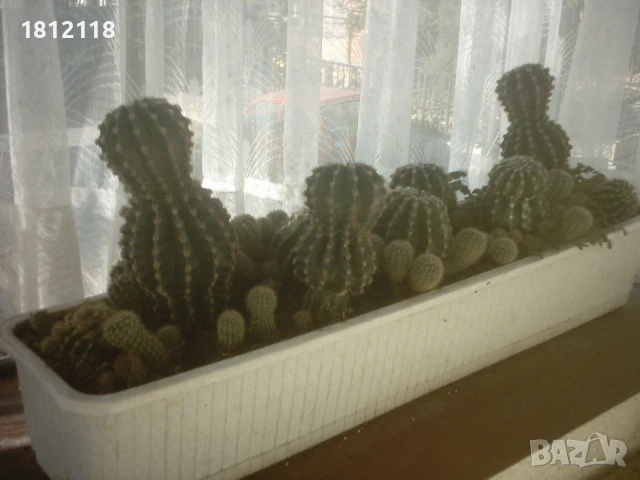 Търся такъв модел сандъче 80 см. , снимка 1