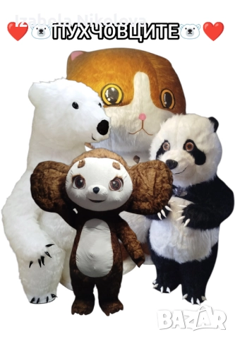 Изненада с огромно пухкаво коте, снимка 2 - Декорация - 48565146