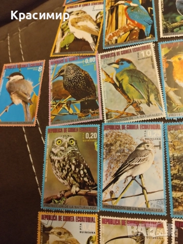 Екваториална Гвинея 1976 г., снимка 15 - Филателия - 52325418
