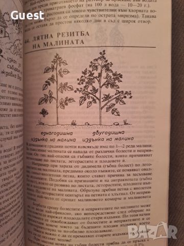 Тънкости в градинарството, снимка 4 - Специализирана литература - 46087166