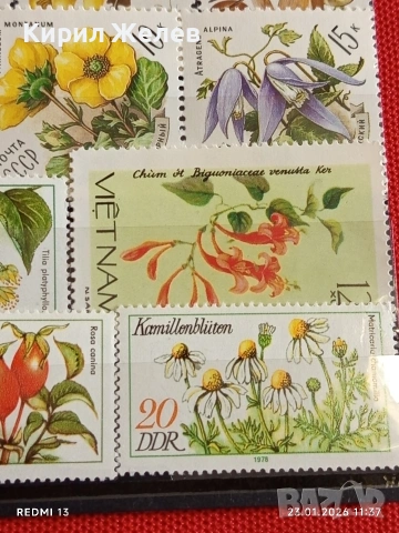 Стари пощенски марки от цял свят смесени ЦВЕТЯ,ГЪБИ за КОЛЕКЦИОНЕРИ 52012, снимка 9 - Филателия - 53198174