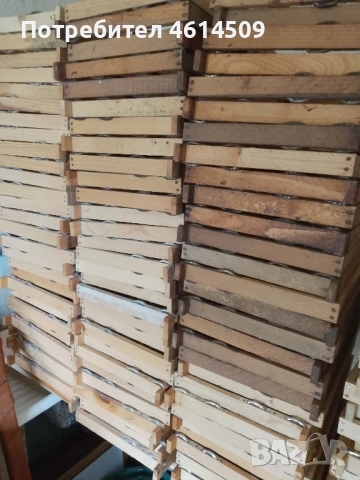 Кошери , снимка 10 - Други животни - 54303600