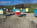 Продавам пчелни семейства, снимка 2