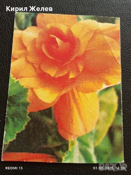 Старо календарче от соца 86г. за КОЛЕКЦИОНЕРИ 7125, снимка 1