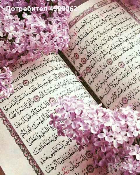 ходжа, снимка 1