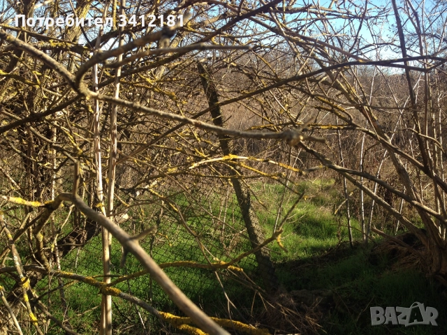 Парцел 1800 кв.м. и къща за основен ремонт в село Красен област Добрич собственик , снимка 6 - Къщи - 52341775