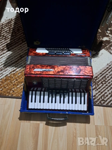 Велтмайстер стела 60 баса 