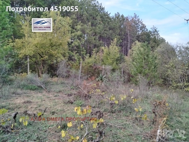 Продавам парцел в гр Варна , снимка 4 - Други услуги - 51495501