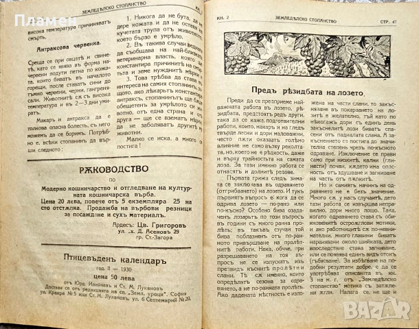 Земледелско стопанство. Месечно популярно списание Год. 4: Кн. 1-10 /1930, снимка 4 - Антикварни и старинни предмети - 46632848