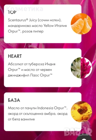 Парфюм All or Nothing Amplified, снимка 5 - Дамски парфюми - 52097800