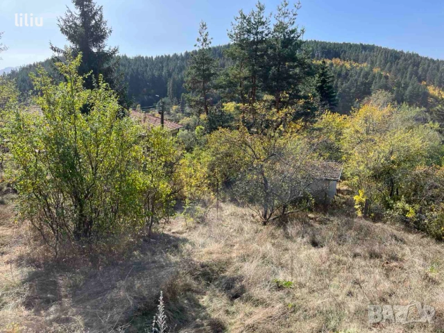 Продава ПАРЦЕЛ област София, с. Широки дол, снимка 6 - Парцели - 53151175