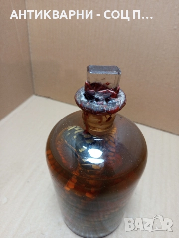 Стари Образователни Препарирани Змий В Стъклено Шише. , снимка 8 - Антикварни и старинни предмети - 52930650