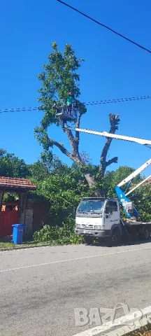 Услуги с Автовишка Русе , снимка 1 - Други ремонти - 47171428