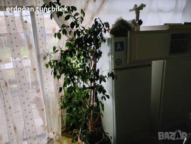 къща на село, снимка 9 - Къщи - 53028909