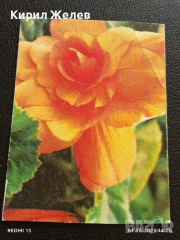 Старо календарче от соца 86г. за КОЛЕКЦИОНЕРИ 7125