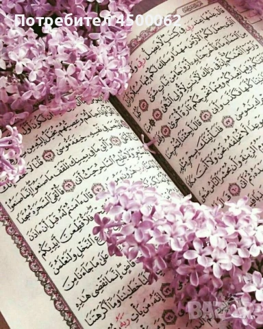 ходжа, снимка 1