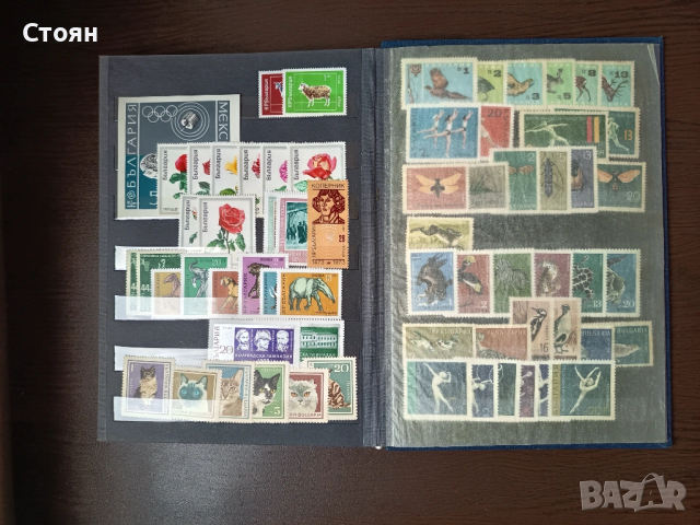Класьор с пощенски марки, снимка 9 - Филателия - 48207160