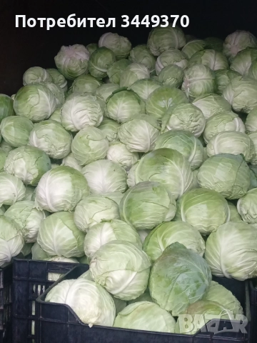 Продавам зеле, снимка 5 - Други - 52505486