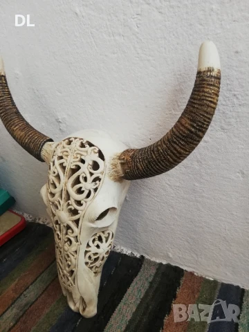 Резбован череп с разглобяеми Рога, снимка 6 - Декорация за дома - 50574311