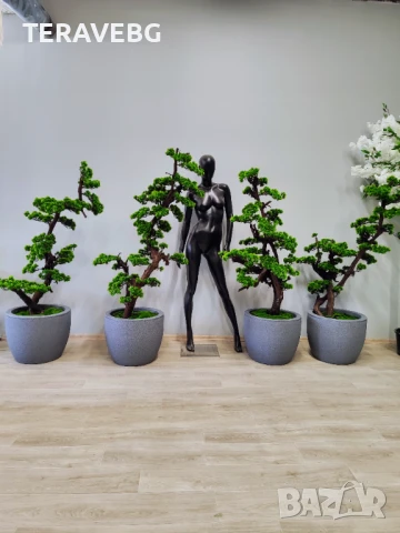 Декоративни дървета , снимка 2 - Изкуствени цветя - 50801494