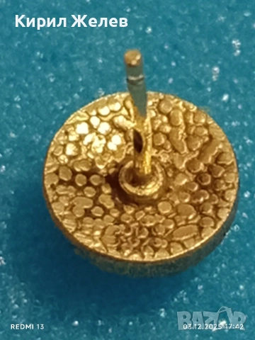 Елегантни сребърни обеци с инкростация на дърво майсторска изработка 20797, снимка 6 - Обеци - 52641091