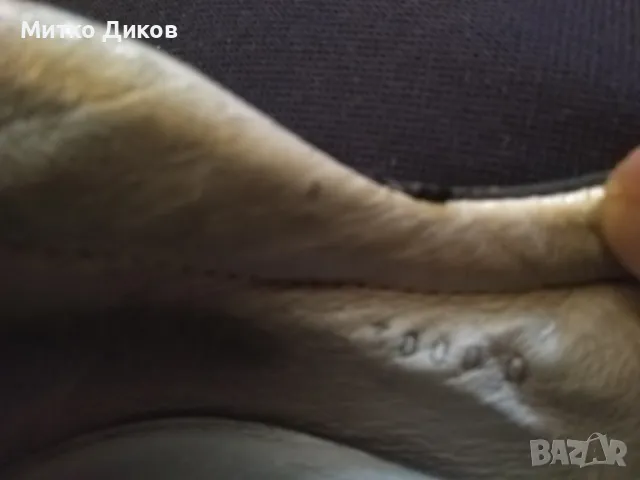 Cesare P. made in Italy маркови кецове №43 стелка 275мм вътре естествена кожа, снимка 12 - Кецове - 49680999