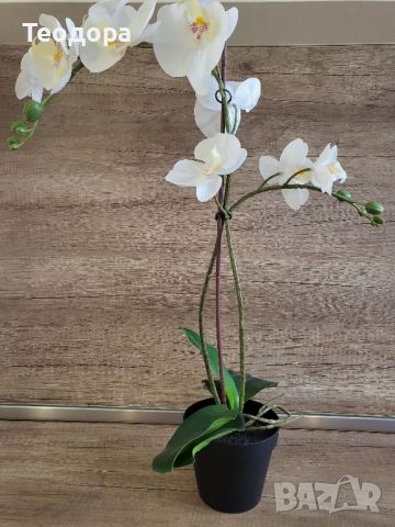 Изкуствена орхидея, снимка 5 - Декорация за дома - 45506440