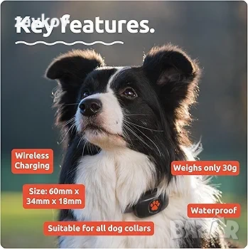 GPS тракер за кучета PitPat, снимка 2 - Други стоки за животни - 53935112