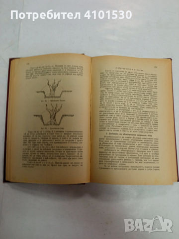 Лозарство - книга от 1946 г, снимка 3 - Специализирана литература - 52964363