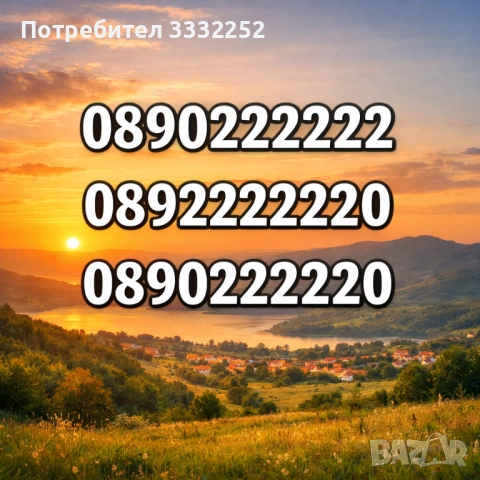 Търся златен номер 