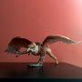 Колекционерска фигурка Schleich World of History Knights Griffin Rider Bird of Prey 2012 , снимка 14