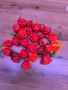 Carolina Reaper Каролина Рипер, снимка 9