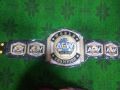 Кеч титла на отборните шампиони на AEW
