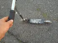 детска тротинетка, снимка 4