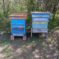 Продавам пчелни кошери , снимка 6 - За пчели - 45053425