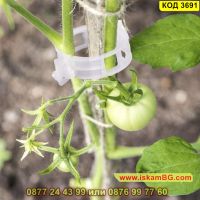 50 броя клипс за поддържане на домати и други растения - КОД 3691, снимка 10 - Други - 45340535