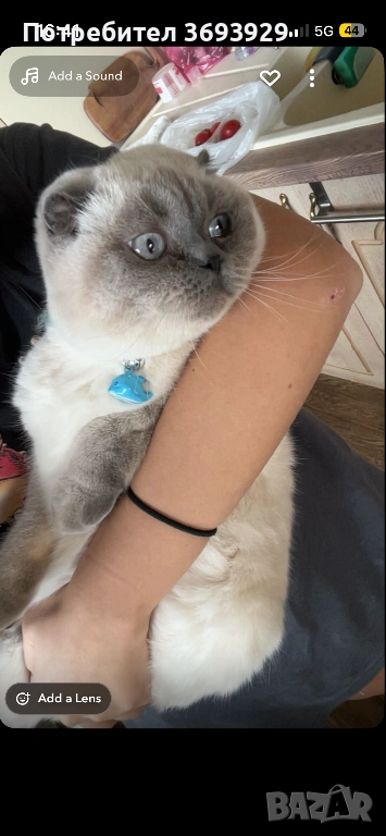 За договаряне , снимка 1