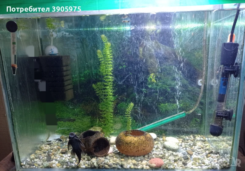 Аквариум 40-50-25см с нагревател, лампа, аератор, храна за рибки, снимка 1