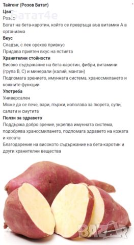 Сладки картофи (Батати) и Гурме картофи - Органичното отглеждане., снимка 3 - Разсади - 43005721