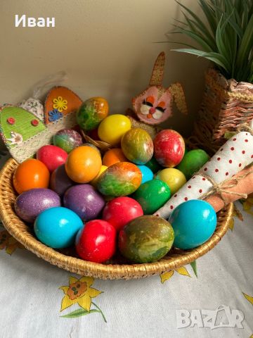 Пресни домашни яйца за консумация или люпене, снимка 2 - Домашни продукти - 45582158