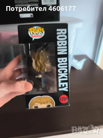 Funko pop robin Buckley 