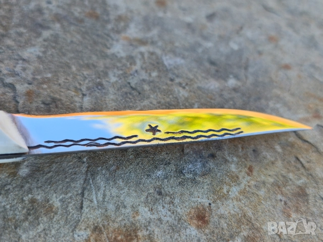 Ножче от еленски рог , снимка 7 - Ножове - 52113439