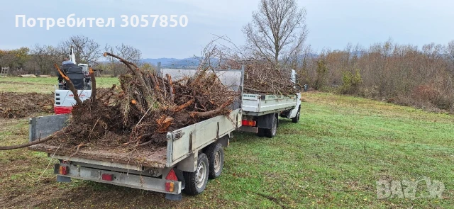 транспортни услуги, снимка 12 - Транспортни услуги - 51175753