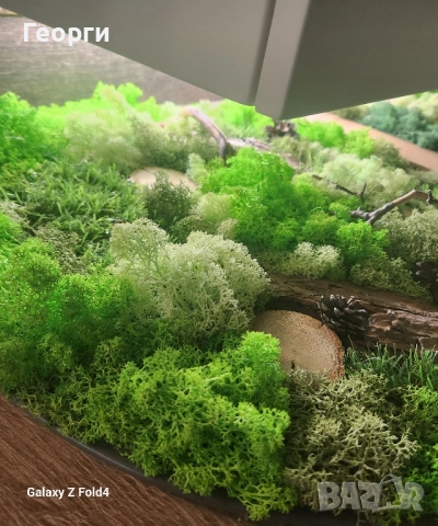 Картини със скандинавски мъх, снимка 9 - Картини - 52174345