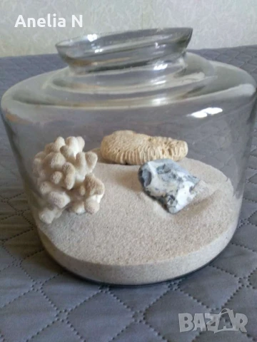 Аквариум -3л