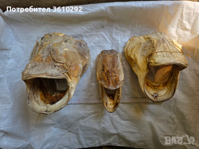 Антиквар предмети., снимка 10 - Антикварни и старинни предмети - 51371688