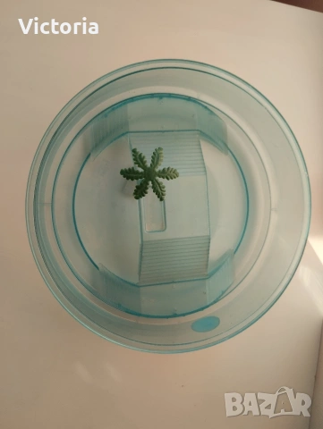 Аквариум за водни костенурки 