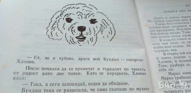 Чудните приключения на чирака Хлапич - Ивана Бърлич-Мажуранич, снимка 6 - Детски книжки - 46798934