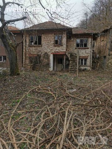 Стара къща с двор в с. Пчелиново , снимка 1 - Къщи - 45423524