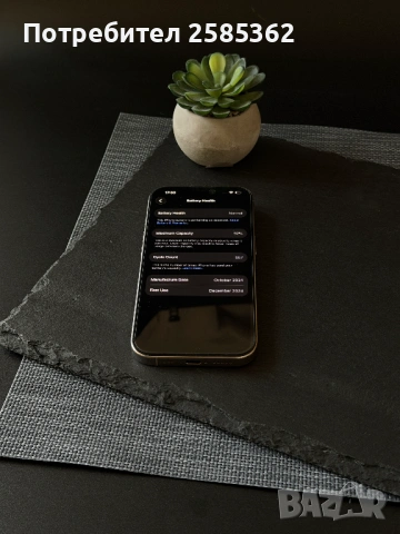 iPhone 16 Pro 256GB Natural Titanium / 92% Батерия / Перфектен технически, снимка 4 - Apple iPhone - 53758463
